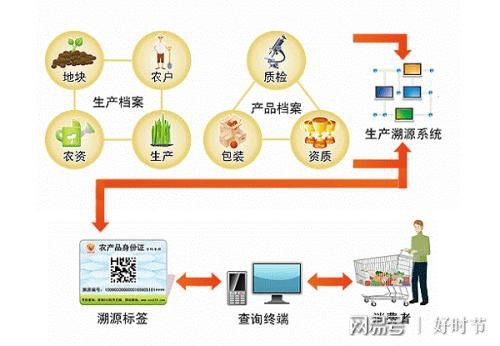 健康新方向 紅軍山藥面，信息管理服務賦能餐飲新體驗